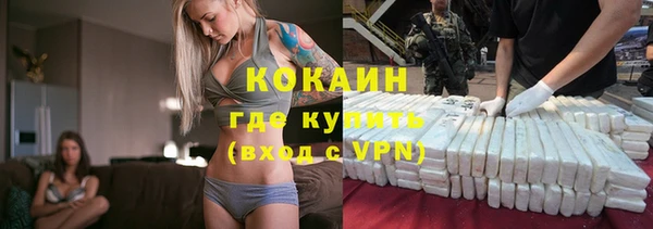 дмт Няндома