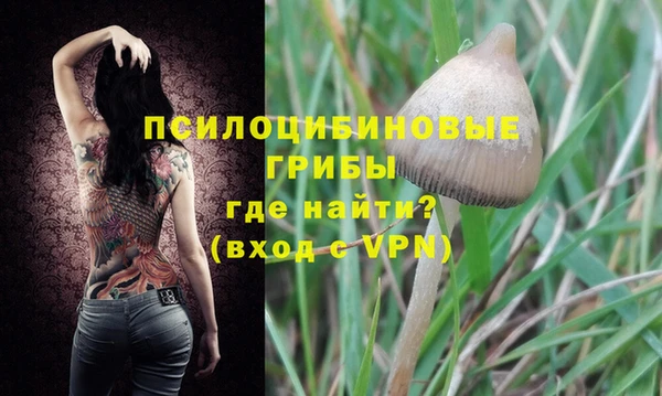 соль ск Нягань