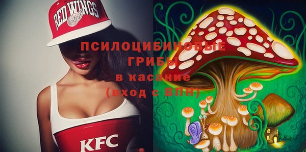 стафф Абинск