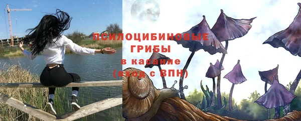 стафф Абинск