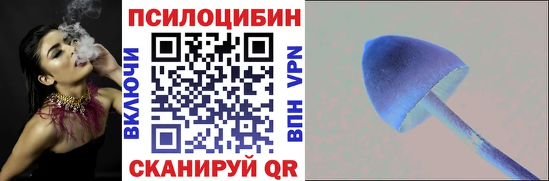наркошоп  Ладушкин  Псилоцибиновые грибы Psilocybine cubensis 